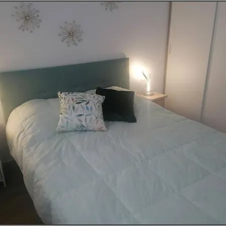Sts Pet Friendly Playa Apartment